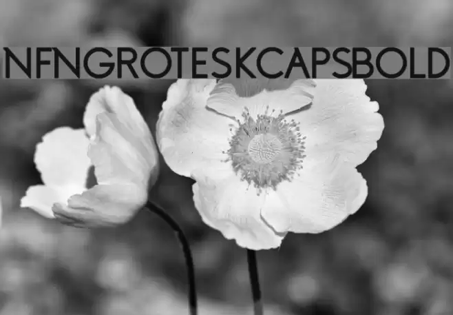 NFNGroteskCapsBold Font examples