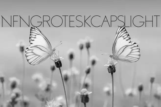 NFNGroteskCapsLight Font examples