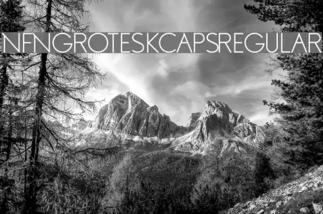 NFNGroteskCapsRegular Шрифта examples