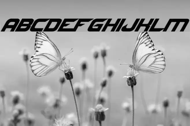 NFS font Example 3