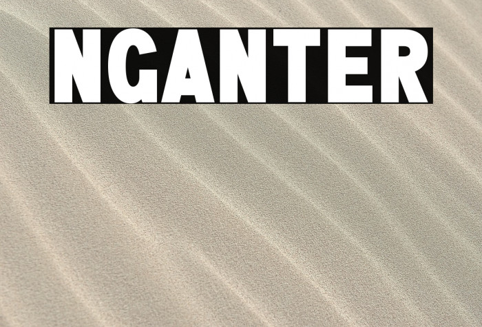 NGANTER Example 3