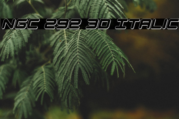 NGC 292 3D Italic Example 3