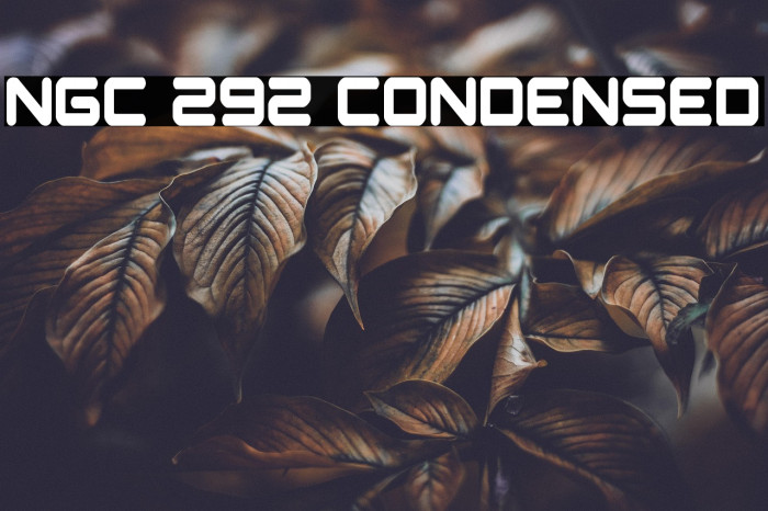 NGC 292 Condensed Example 2