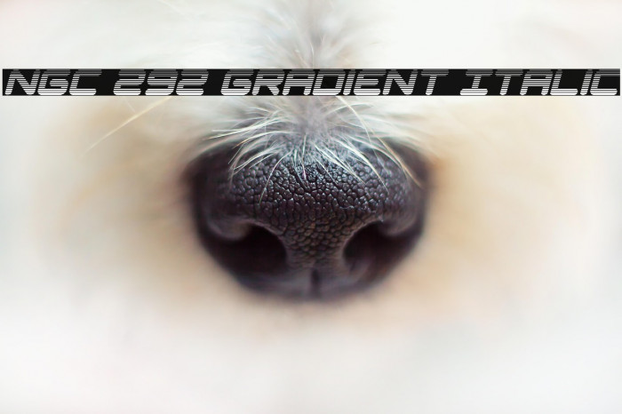 NGC 292 Gradient Italic Example 2