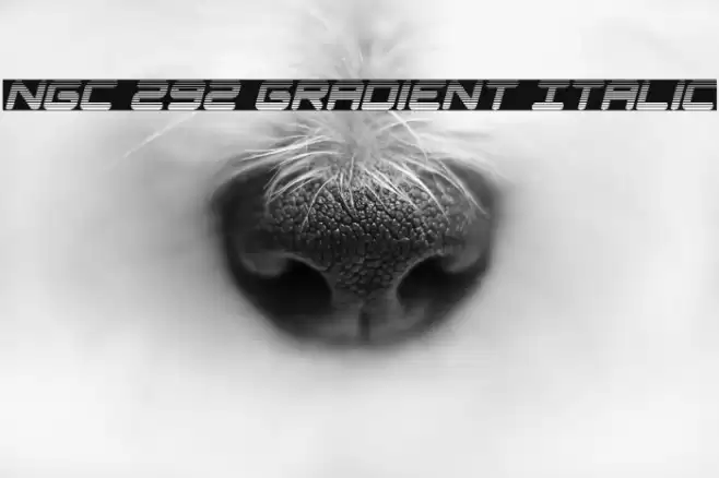 NGC 292 Gradient Italic Font examples