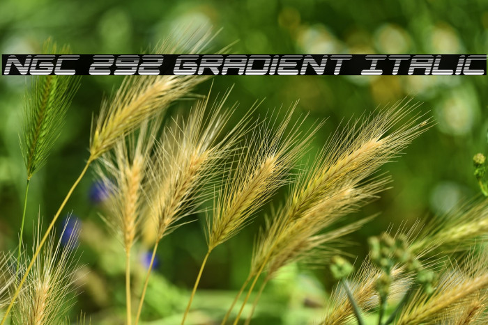 NGC 292 Gradient Italic Example 3