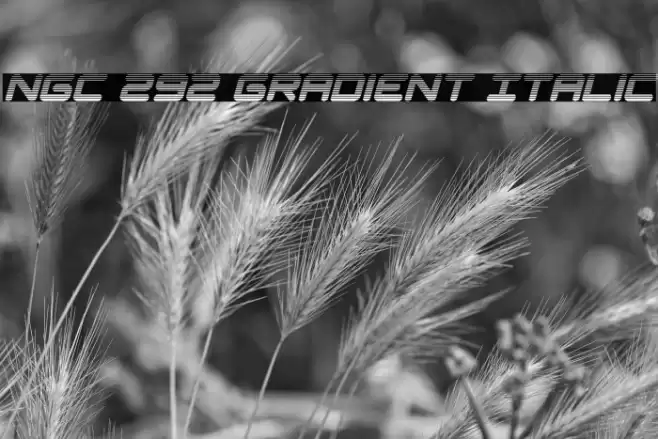 NGC 292 Gradient Italic Font examples