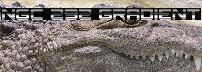 NGC 292 Gradient Example 1