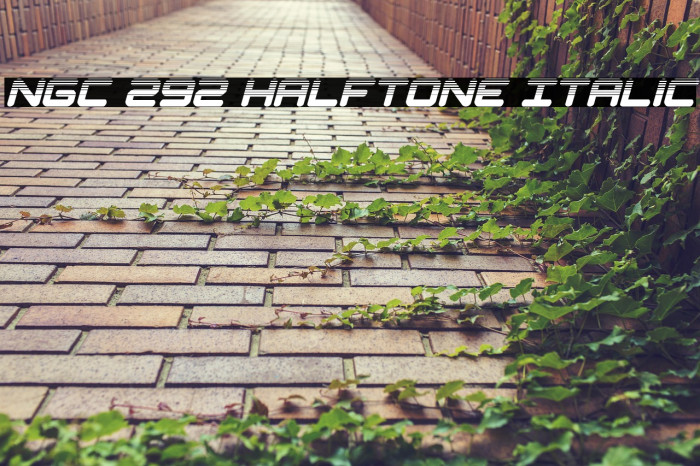 NGC 292 Halftone Italic Example 3