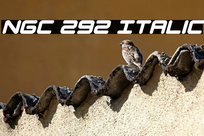 NGC 292 Italic Example 1