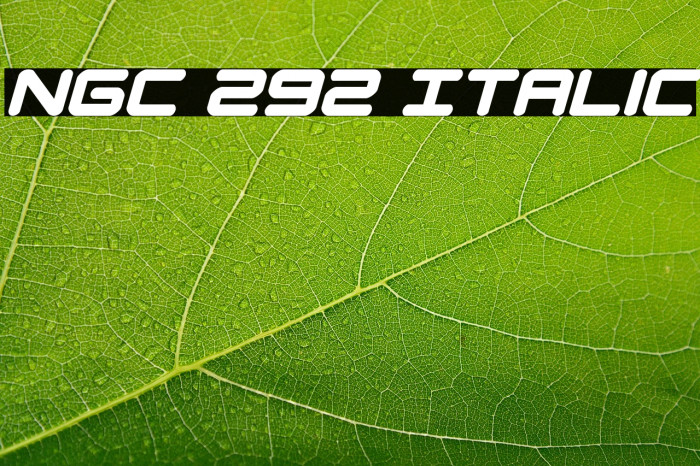 NGC 292 Italic Example 3