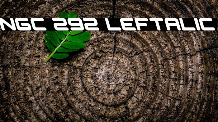 NGC 292 Leftalic Example 1