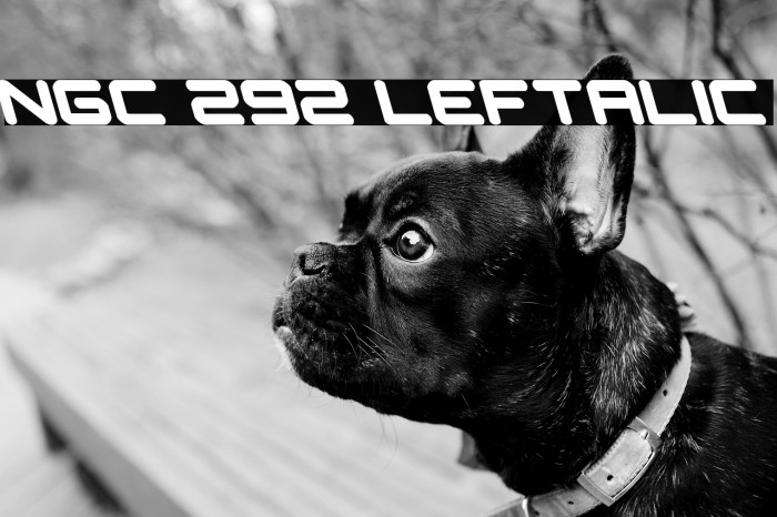 NGC 292 Leftalic Example 2