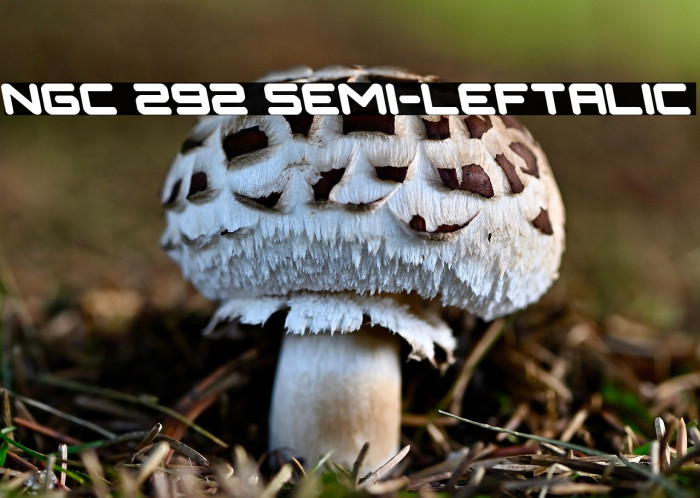NGC 292 Semi-Leftalic Example 1