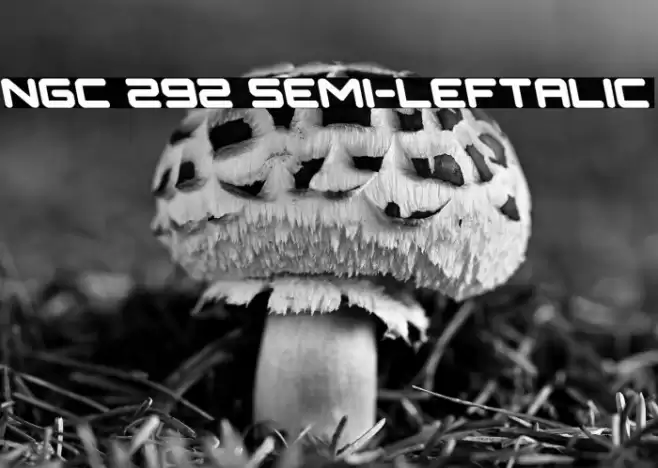 NGC 292 Semi-Leftalic Font examples