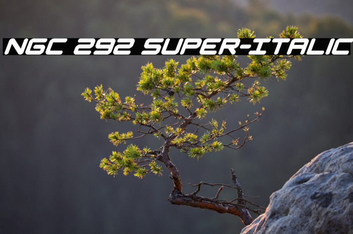 NGC 292 Super-Italic Example 3