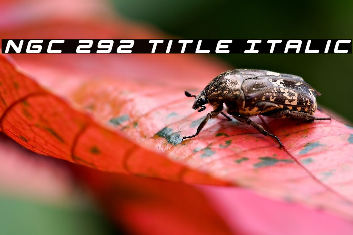 NGC 292 Title Italic Example 2