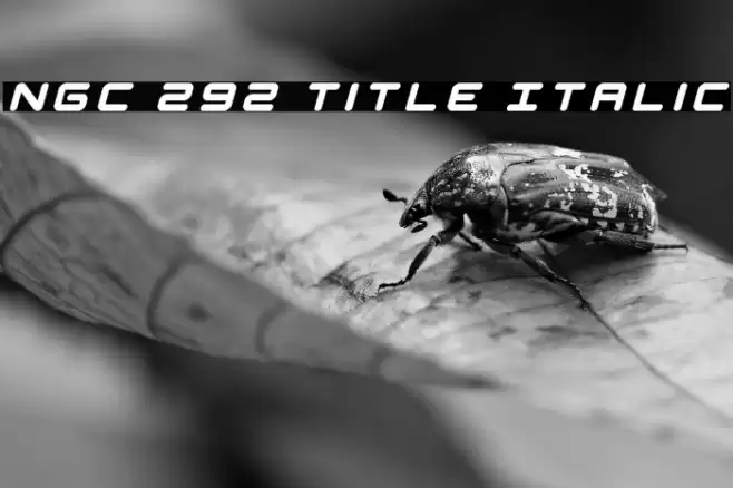 NGC 292 Title Italic Font examples