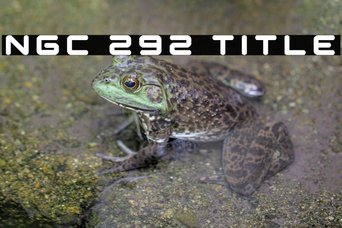 NGC 292 Title Example 1