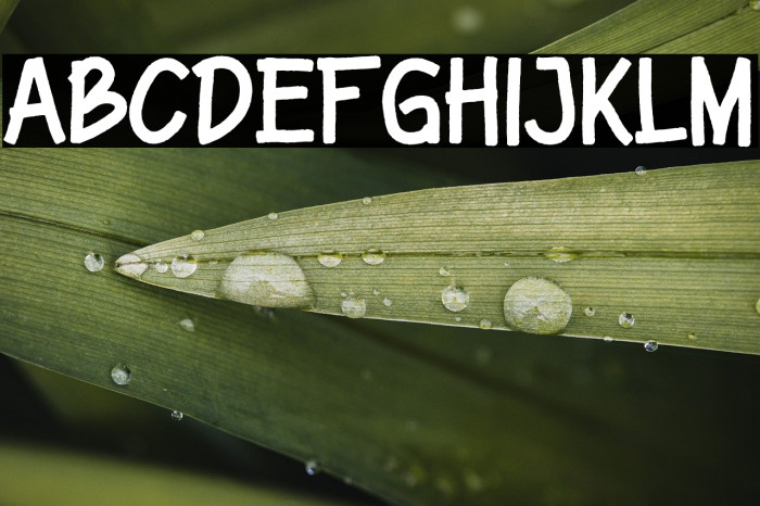 Ngangguran Example 3