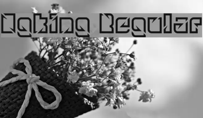 Ngking Regular Font examples