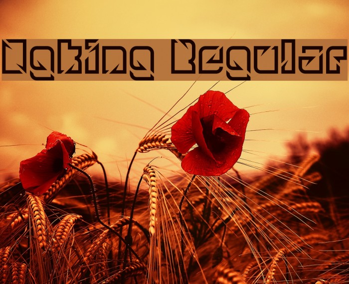 Ngking Regular Example 3