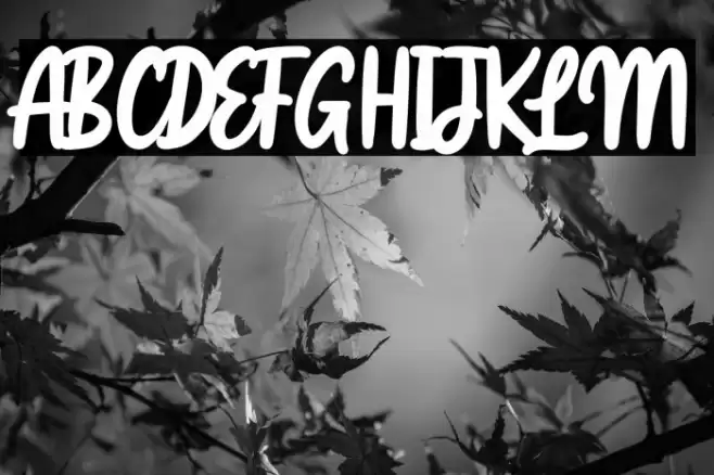 Ngopie Font examples