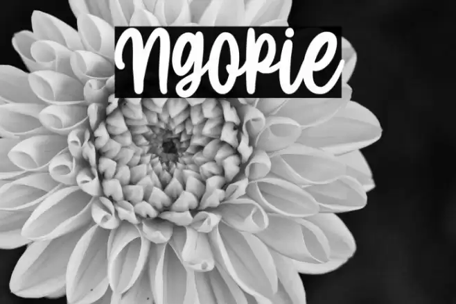 Ngopie Font examples