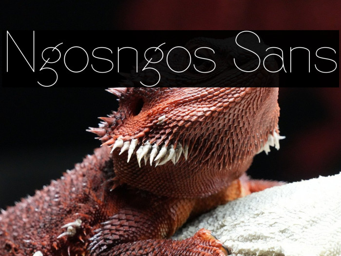 Ngosngos Sans Example 1