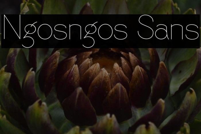 Ngosngos Sans Example 3