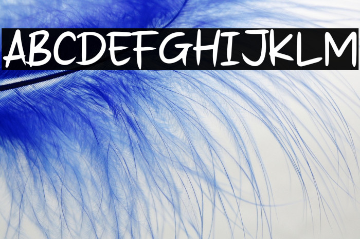 Ngutang Dong Example 2