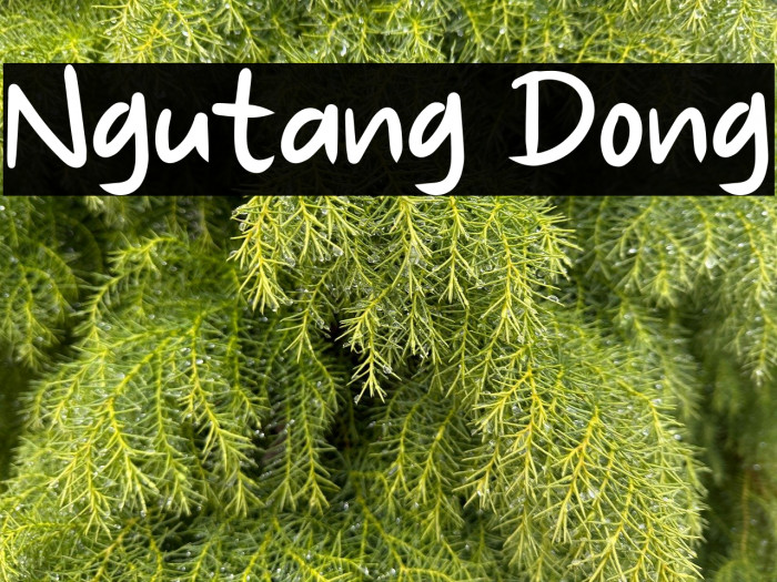 Ngutang Dong Example 2