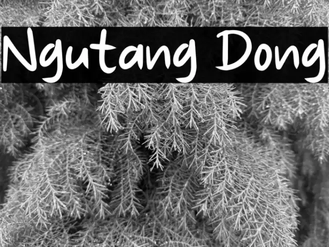 Ngutang Dong Font examples