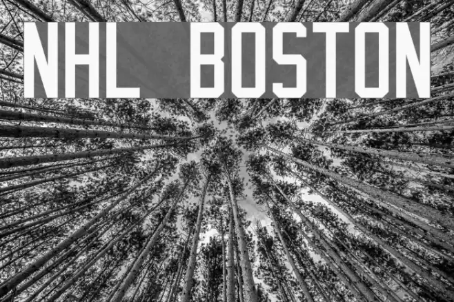 NHL Boston Font examples