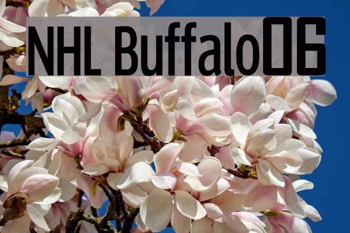 NHL Buffalo06 Font examples