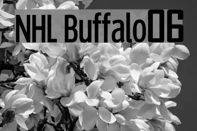 NHL Buffalo06 Font examples