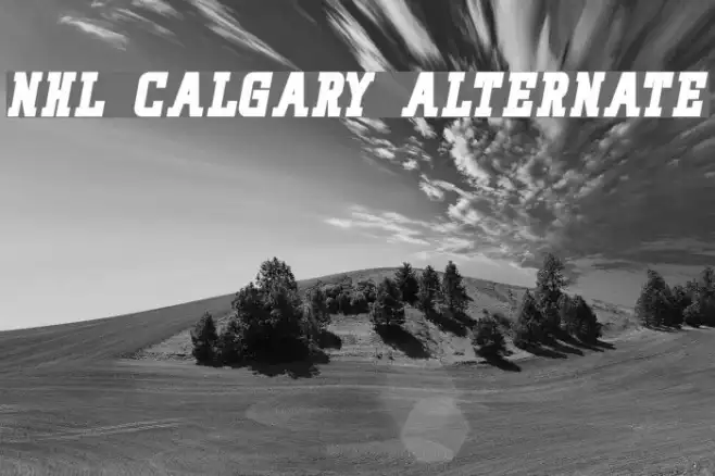 NHL Calgary Alternate Example 1