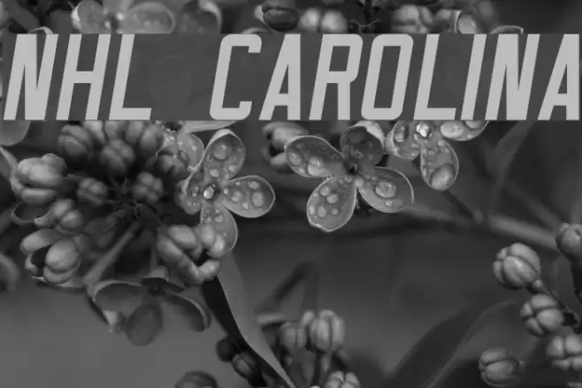 NHL Carolina Font examples
