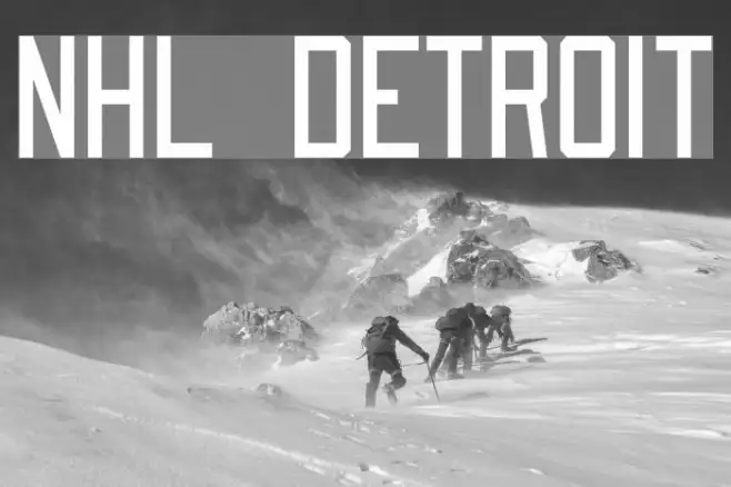 NHL Detroit Example 2