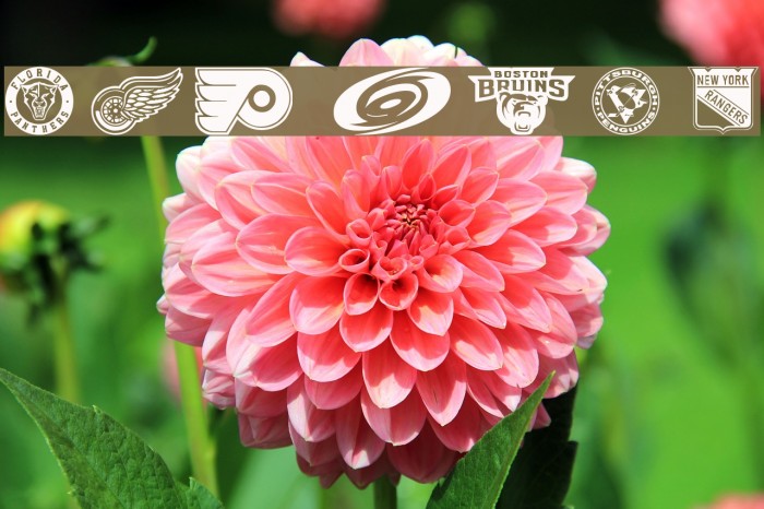 NHL EAST Font examples