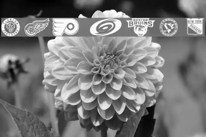 NHL EAST Example 2