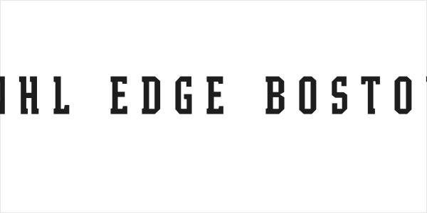 NHL Edge Boston Logo