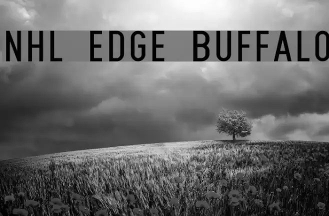 NHL Edge Buffalo Font examples