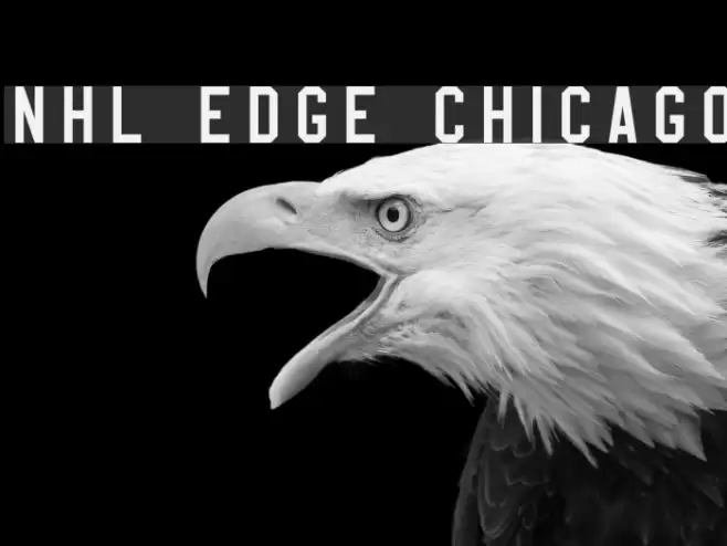 NHL Edge Chicago Font examples