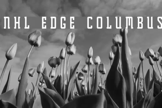 NHL Edge Columbus Font examples