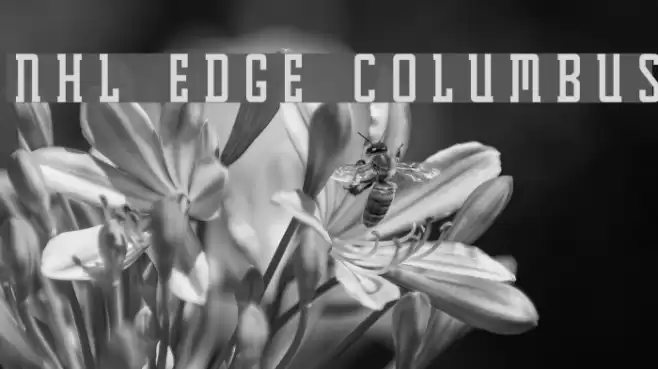 NHL Edge Columbus Font examples