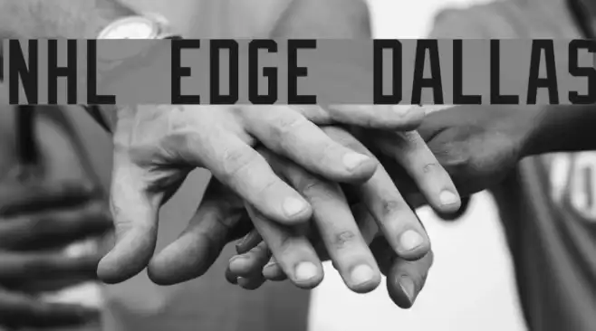 NHL Edge Dallas Example 3