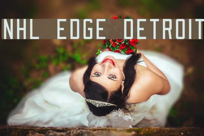 NHL Edge Detroit Font examples
