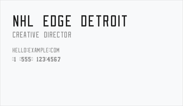 NHL Edge Detroit Business Card