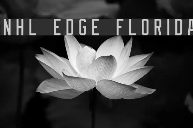NHL Edge Florida Font examples